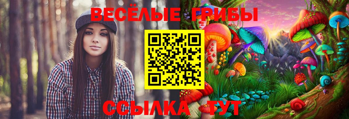 Галлюциногенные грибы прущие грибы Тольятти